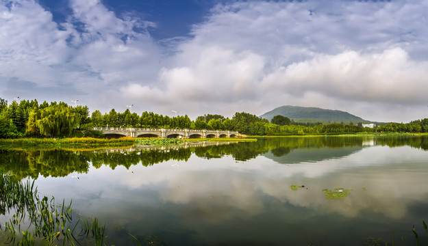 城市風(fēng)光