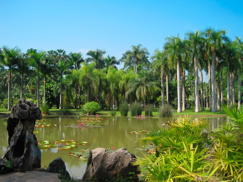 西雙版納植物園