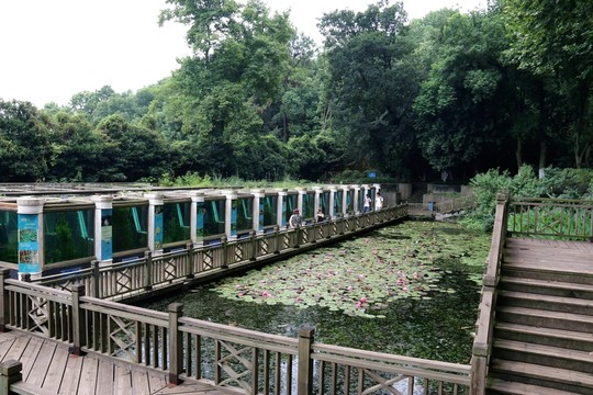 武漢植物園風(fēng)景