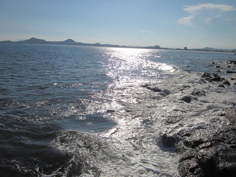 海水