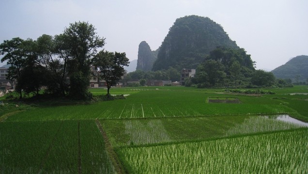 臨桂