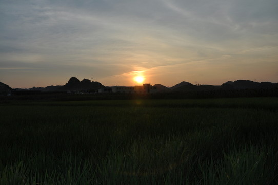 夕陽紅