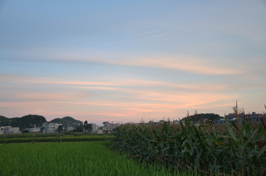 藍(lán)天