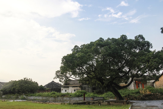 龍華古鎮(zhèn)