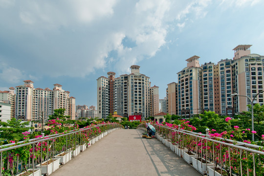 龍光 普羅旺斯
