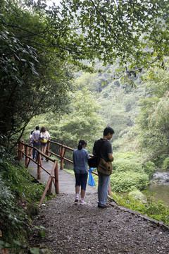 黃山黟縣打鼓嶺