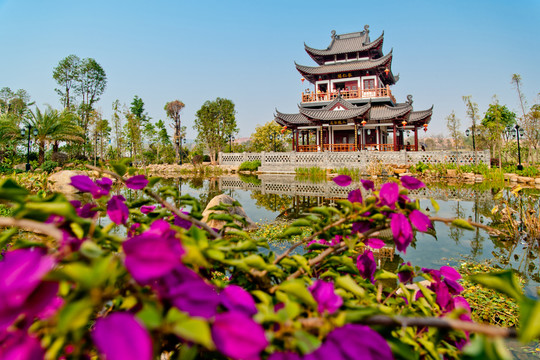 南寧園博園 南寧園