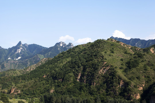 山
