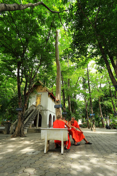 泰國寺廟中的僧侶