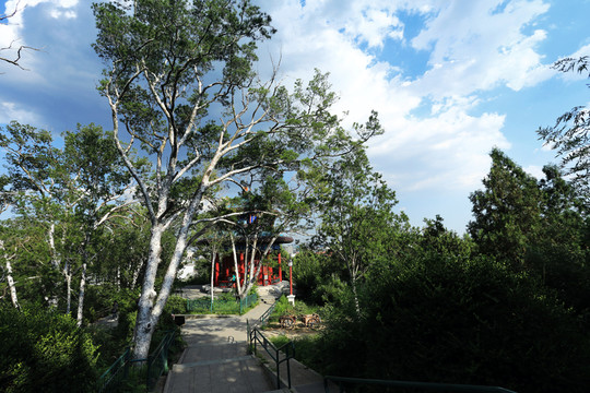古典皇家園林景山景觀