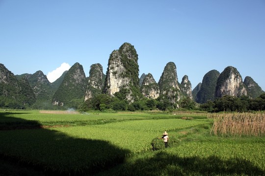 奇峰鎮(zhèn)