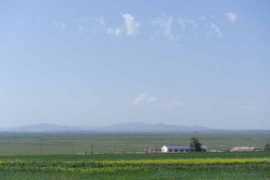 草原風(fēng)光