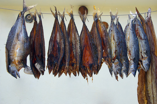 干鲅魚