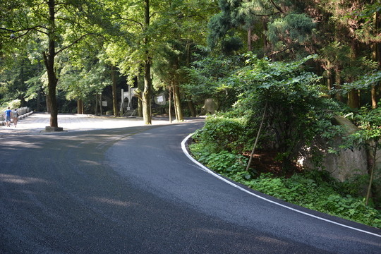 樹林