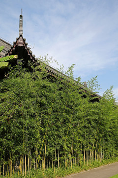 竹林古建