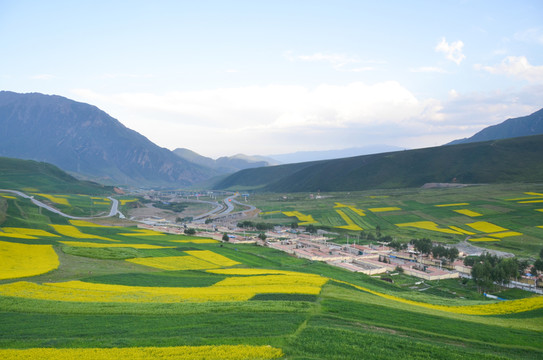 油菜花 風(fēng)景