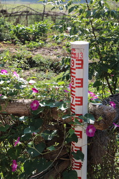防汛標(biāo)尺