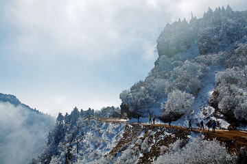 牛背山