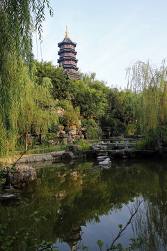 庭院景觀