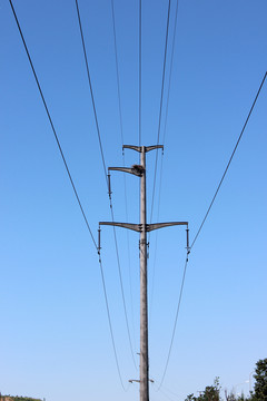 電線桿