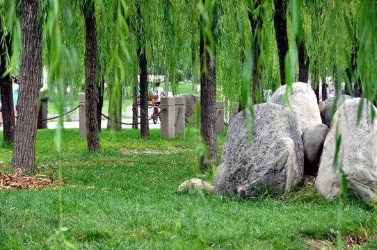 公園