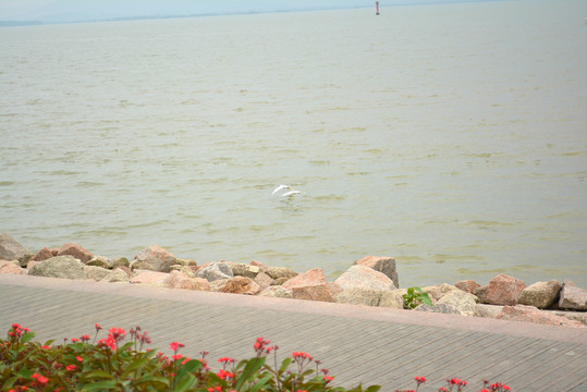 濱海公園