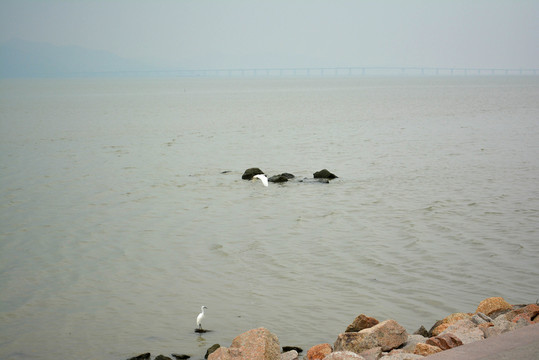 濱海公園