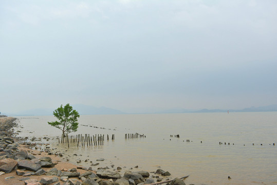 濱海公園