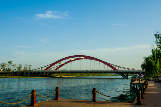 聊城陳口大橋
