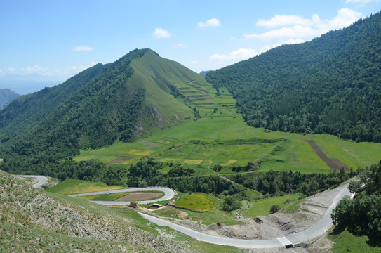 盤山公路 森林