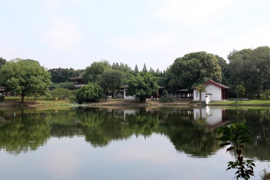東湖梅園