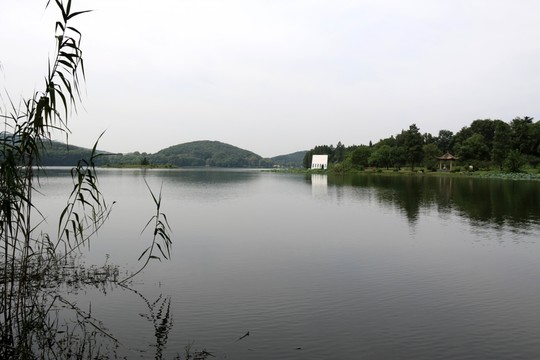 東湖梅園