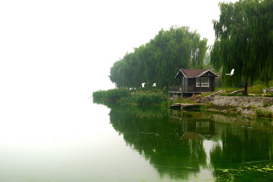 湖邊小景