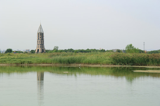 水上公園