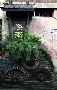 植物景觀 植物 綠葉