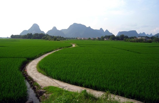 小路