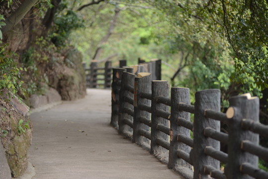 欄桿