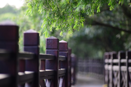 欄桿
