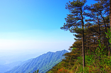 黃山 牯牛降