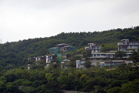 別墅 山水別墅 山林別墅