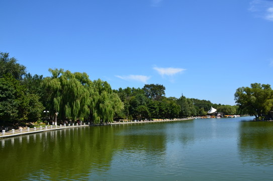 藍(lán)天下的公園湖泊綠樹jpg高清