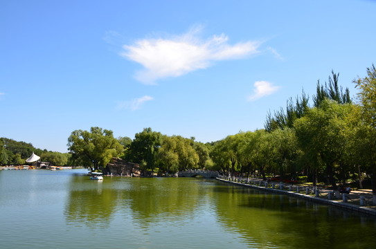 藍(lán)天下的公園湖泊綠樹jpg高清