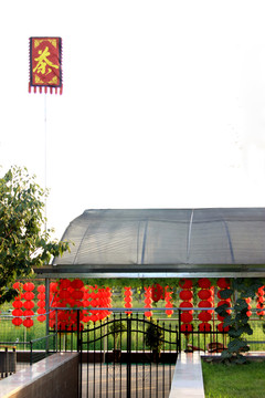 西安浐灞 世博園 茶館