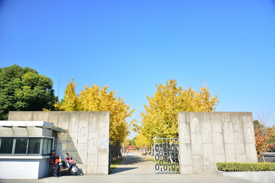 智力公園