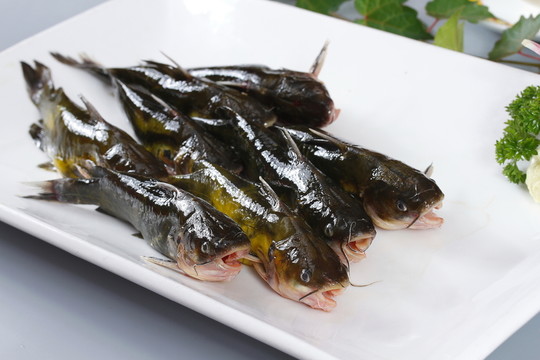 黃丫魚