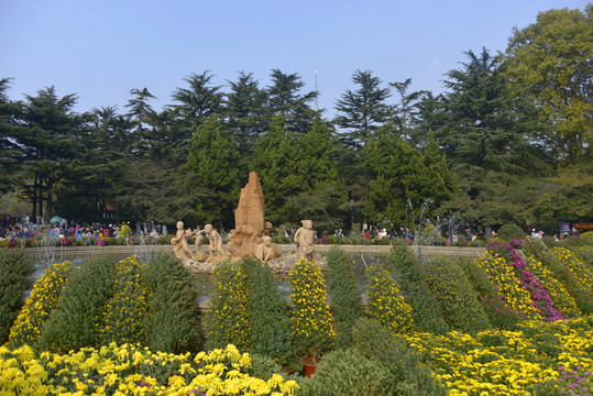 青島中山公園菊展