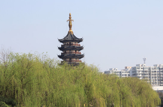 柳映定慧寺