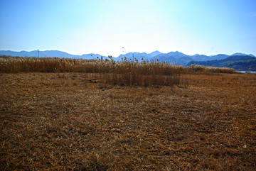余姚 鳥瞰