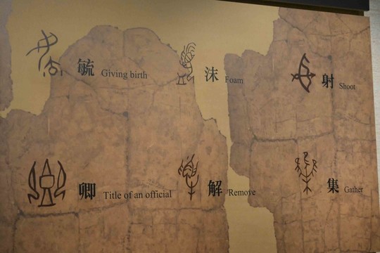 甲骨文