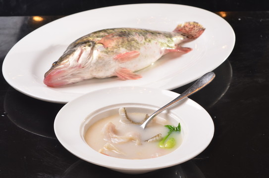 翅湯桂魚